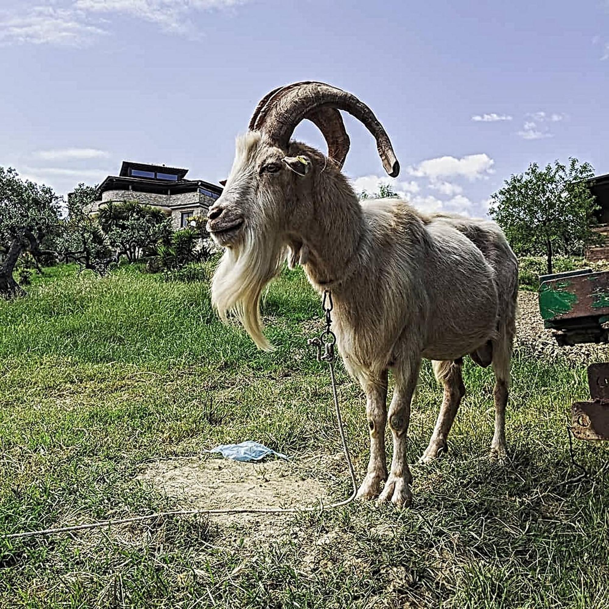Il Tratturo Farm stay *